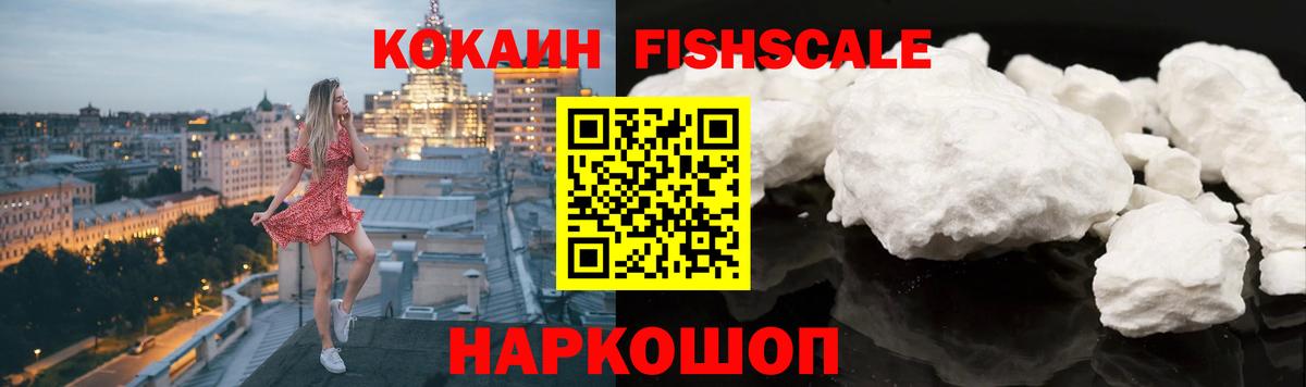 Cocaine Эквадор  Вход с VPN  Прохладный  Cocaine Fish Scale 