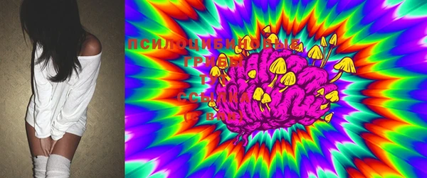 марки lsd Абаза
