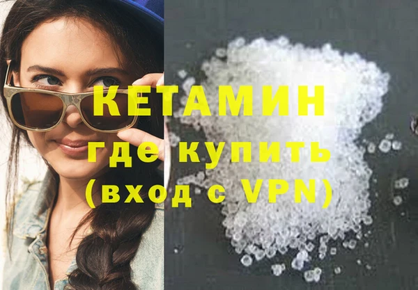 трава Новозыбков